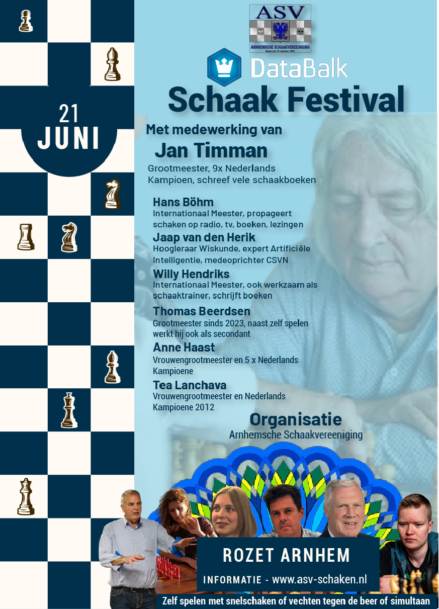 poster van het DataBalk Schaakfestival Arnhem 2025